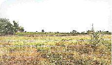 course